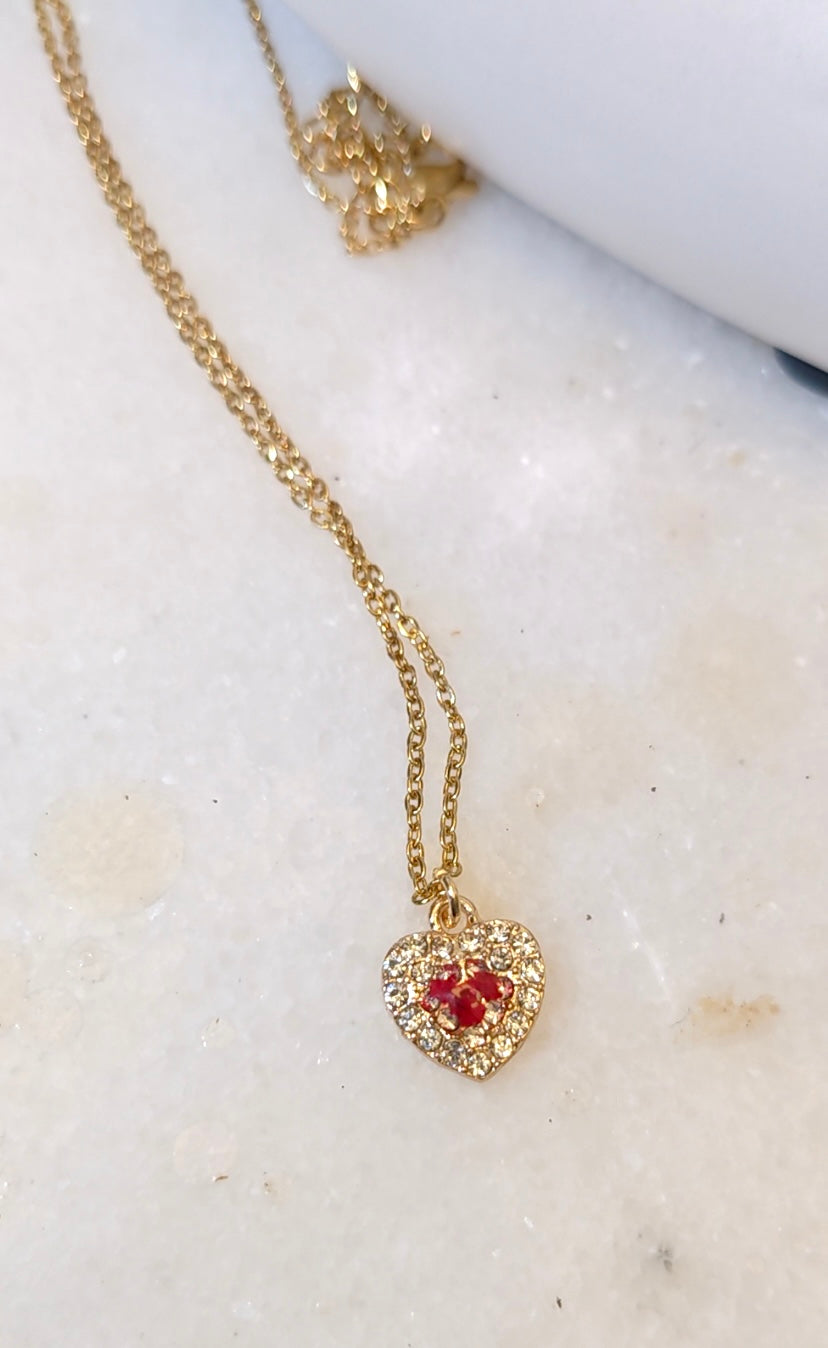 Heart Necklace with Dry Red Roses